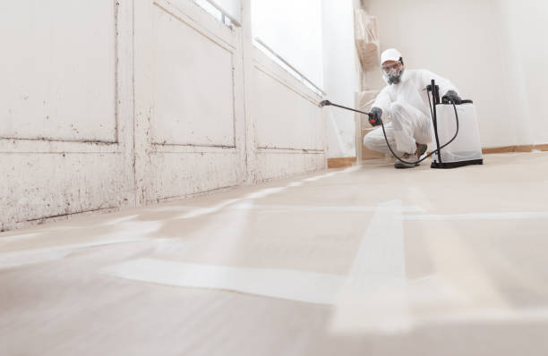 24/7 Emergency Mold Remediation experts in Keyport, NJ
