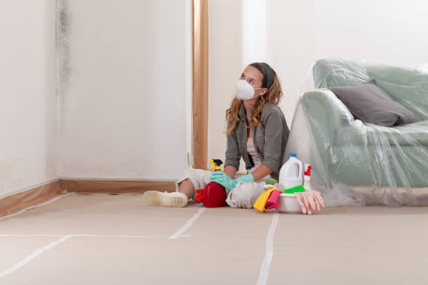Reliable Mold Remediation contractor in Keyport, NJ by Cheap Mold Removal