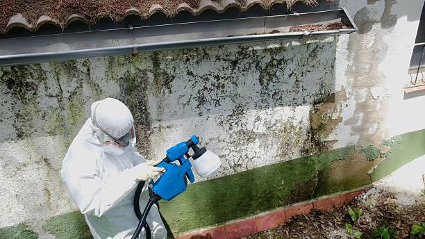 Trusted Mold Remediation service in Keyport, NJ - Cheap Mold Removal